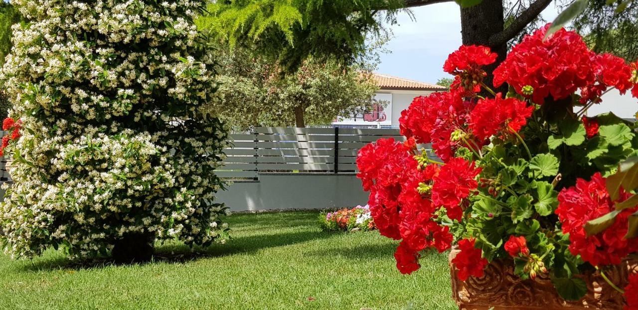 Fiori Apartment Umag Luaran gambar